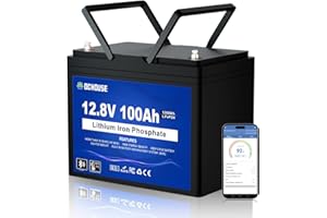 DCHOUSE Bluetooth 12V 100Ah LiFePO4 Batteri, BMS 100A amélioré, jusqu'à 15000 cycles, batterie au lithium 1280Wh, parfaite pour les camping-cars, caravanes, bateaux, camping, systèmes solaires