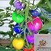 Produktbild 100 PCS Colorful Tomaten Samen, leckere Bio Obst Gemüse Bonsai Samen DIY Home Garden Pflanze hoch Keimung