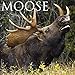 Produktbild Moose 2019 Calendar