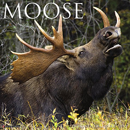 Preisvergleich Produktbild Moose 2019 Calendar