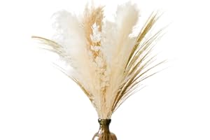 flature Trockenblumen Strauß XXL 120cm - 6 Stiele getrocknetes Blumen Set mit Pampasgras Groß Ruscus & Federkorn Gras als Dekoration Wohnzimmer Hochzeit, Trockenblumen Set Deko Boho (Sorte C - Mix)