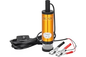 flintronic 12V Pompe à Huile avec Clip, Diesel, Huile de Chauffage Pompe Submersible Eau Transfert de Carburant Allume-Cigare avec Filtre Amovible pour Caravane, Bateau Marin