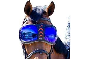 eQUICK eVYSOR – Protection des yeux – Produit original – Fabriqué en Italie