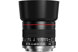Lightdow FE Objectif 85mm F1.8 Léger Manuel, Plein Format, Corps en Métal, Compatible Sony E-Mount α, α9, A7 IV, A7 III, A7R, A7R IV, A7S, A7S III, A6000, A6400, ZV-E10, A5100, A5000, Nex Series– Noir