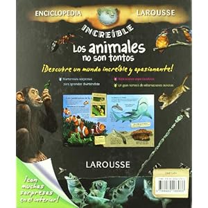 Los animales no son tontos (Larousse - Infantil / Juvenil - Castellano - A Partir De 8 Años - Enciclopedia Increíble 8 Años)