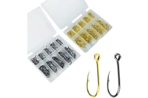 Tadipri 200Pcs Anzuelos para Pesca De Acero Al Carbono Anzuelos De Pesca En 10 Tamaños Anzuelos De Púas Ganchos De Pesca con Caja De Plástico para Agua Dulce Mar Pista De Peces Agua Salada