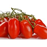 My Seed World 20 Patio San Marzano Tomato Seeds