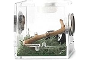 OPILROYN Caja De Araña Saltarina - Caja De Cría De Insectos, Jaula De Grillo Para Reptiles | Contenedor De Vidrio Para Terrario De Animales Livianos Con Orificios De Ventilación, Tanque De Reptiles De Animales