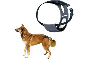Trixie Skyddande hundbyxa, medium