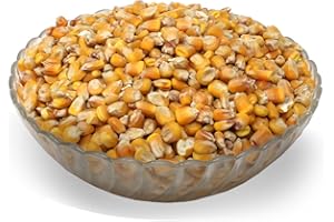 LanDixx Mais 10 kg Körnermais Kirrung Futtermais Schafe Ziegen Rotwild Maisfutter Y