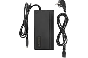 HANERIDE Caricatore da 48 V (54,6 V) 2 A per bici elettriche Fischer con batteria Phylion SF-06S a 5 pin