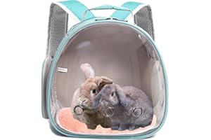 GENERIC Bearded Dragon Travel Carrier, Space Capsule Clear Bubble Window Small Animal Travel Backpack for Hedgehog Rat Parrot Bird Bearded Dragon, Snake,Airline Approved (Green, Backpack)