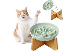 PTOBER Gamelle Anti Glouton Chat Surélevée - Gamelle Mélamine avec Support en Bambou Antidérapant - Bol Chat pour Alimentation Lente - Motif Labyrinthe Floral - Vert