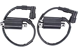Doo Engy Ignition Coil Motorcycle Motor Ignition Coil for Yamaha XV 250 Virago Grizzly Kodiak 400 Wolverine 450 Kawasaki EL 250 EX Suzuki VZ 800 Marauder VS 750 Intruder VZR 1800 TL 1000