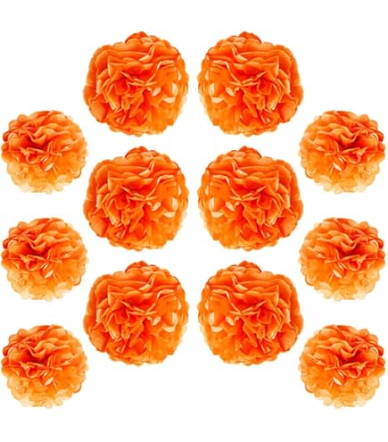 ZYOOO® Lot de 12 Pompons en papier de soie à Suspendre pour fête décoration, plafond, mur, 3 couleurs de 30,5 cm, 25,4 cm(pastel coloré