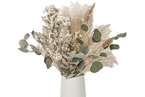 Anlising 45PCS Pampas Secas Decoracion, Hierba de Pampas Natural, Hierba de la Pampa, Decoración de Hierba de Pampas Seca, Ramo de Hierba, para Decoracion Hogar, Decoracion Boho Fiestas, Bodas