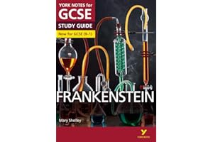 Frankenstein: York Notes for GCSE (9-1): - everything you need to catch up, study and prepare for 2022 and 2023 assessments and exams