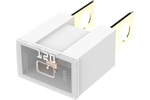 AUPROTEC PAL B Fusibile blocco maschio OTO BT fusibili giapponesi selezione: 120A Ampere bianco, 1 pezzo