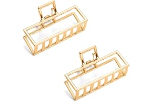 JINXIAN JINXM 2 Pezzi Clip Artiglio Metallico Concavo Per Capelli Antiscivolo Pinze Morsetto Fermagli Clip per Artiglio Polpo Artiglio di Capelli a Mascella di Ragno per capelli da donna per ragazze(D'oro)