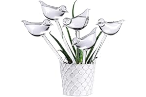 YESOA 5 Pcs Bird Shape Plant Waterer Plastic Plant Watering Globes Self-Watering Bulbs Large Garden Watering Stakes Automatic Irrigation Device for Indoor Outdoor Plants