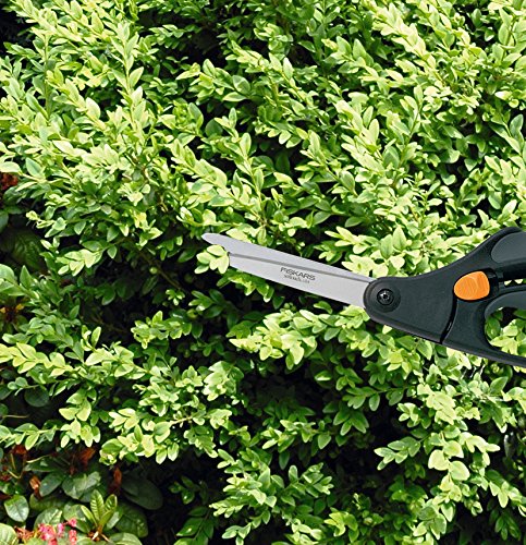Fiskars Buchsbaumschere, Länge 27 cm, Hochwertige Stahl-Klingen/Kunststoff, Schwarz/Orange, S50, 1000557 - 2