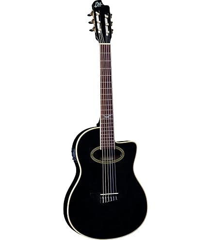 Ibanez AEQ2T - Guitarra electro clásica para conciertos : Amazon