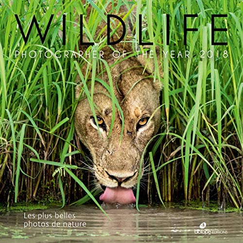 Télécharger Wildlife Photographer of the year : Les plus belles photos de nature Livre PDF Gratuit
