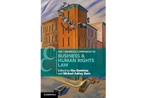 The Cambridge Companion to Business & Human Rights Law