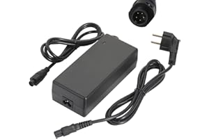 HANERIDE Chargeur 42 V 2 A pour Phylion avec 5 broches (broches) pour batterie Pedelec SF-03/Wall-ES 36 V