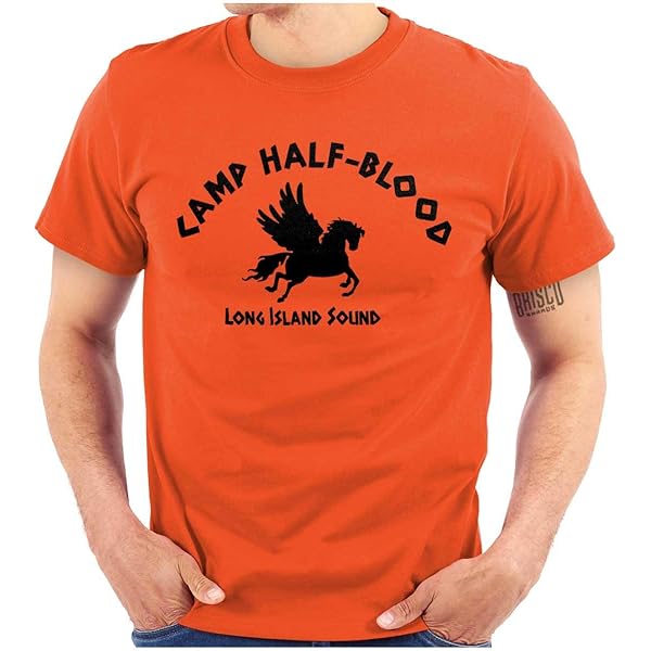 PRINCESS CUTENESS STORE Percy Jackson Camp Half Blood
