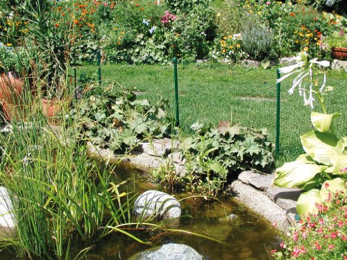 Sechseckgeflecht Hexanet, grün, 500 mm Höhe, 10 m Rolle, 25 mm Maschenweite - 2