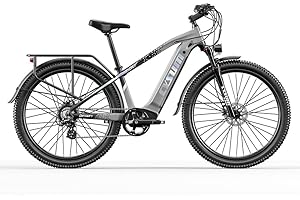 cysum Speedy Bici elettrica, mountain bike elettrica per uomo adulto, batteria al litio 48v 672 Wh, autonomia 100 km, coppia 75 Nm, 25 km/h, freno a disco idraulico