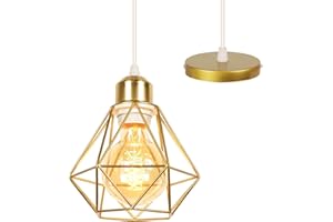TOKIUS E27 Plafonnier Industriel Suspension Luminaire Vintage Design Lustre Métal Rétro forme Cage Ø160mm éclairage plafond 40W, Doré (Lustre-1pcs)