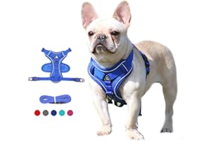 Lairle Puppy Harness,Cat Harness and Lead Set,No Pull Dog Cat Harness,Soft Mesh Breathable Reflective Puppy Cat Dog Vest Harnesses for Small Dogs Cats