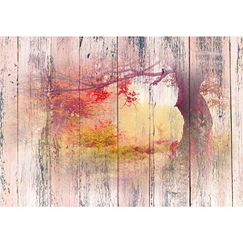 Fototapete Natur – Vliestapete – Wandtapete – Vlies Phototapete – 3 Größen zur Auswahl !!! 100% MADE IN GERMANY !!! Wand – Wandbilder XXL – Runa Tapete 9112011c - 6