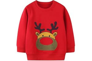EULLA Boys Christmas Jumper Reindeer Sweatshirt Gift Kids Long Sleeve Dinosaur Tee Shirt Tops Crew Neck Pullover Hoodies Casual Outfit Clothes Age 1-7 Years