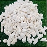 Ekodoğa Beyaz Dolomit Taş 25 Kg 1,5-2 Cm Dere &Ccedil;akıl Taşı Bah&ccedil;e S&uuml;s Saksı Teraryum Akvaryum