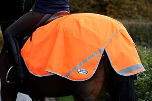 WeatherBeeta 300D Reflective Exercise Sheet Horse Rug, Orange, L