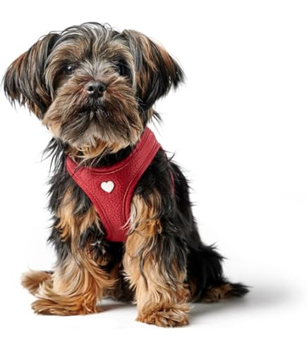 LOVE - bag case - red - We love dogs CZ