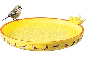 Navaris Bain d'oiseaux - Abreuvoir Oiseaux en Céramique 25 x 25 x 6 cm Résistant au Gel Hiver et aux Intempéries - Baignoire Oiseau Exterieur