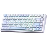 Aula F75 Mekanik RGB TKL Gray Switch Kablosuz Makrolu Hot Swap Klavye Buz Mavisi