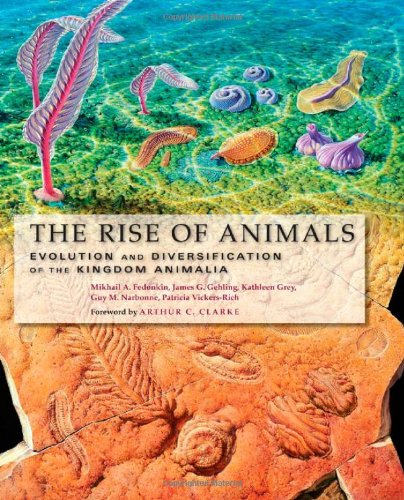 The Rise of Animals - Evolution and Diversification of the Kingdom Animalia livre