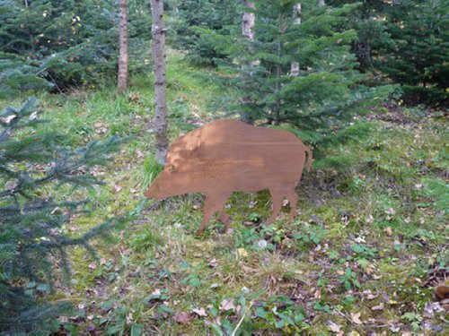 Albert Hechinger Edelrost Wildschwein