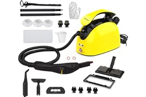 Waitbird Nettoyeur Vapeur Multi-Usages, Nettoyeur à Vapeur Écologique et Sécurisé, Grande Capacité, 21 Accessoires, Idéal pour Nettoyer Sols, Canapés, Vitres et Voitures