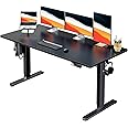 HUANUO Electric Standing Desk, 60" x 24" Whole Piece Desktop, Adjustable Height Computer Desk, 4 Height Memory Settings, Sit Stand Up Desk for Home Office, Black