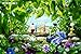Produktbild CGC Große Poster - Pikmin 3 III Nintendo Wii U - ext099, Papier, 24" x 36" (61cm x 91.5cm)
