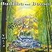 Produktbild Buddha and Bonsai Vol 3 by Various (2000-01-01)