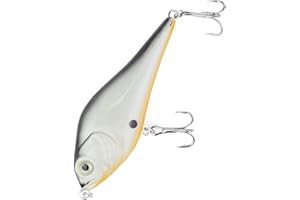 Major Fish Medium Jerk Jerkbait 10 cm Leurre pour brochet