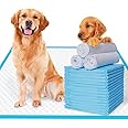 Patch & Marshall Dog Pee Mats / Sheets with Adhesive Floor Strips Suitable for Puppies,Small , Medium & Large Dogs Leak Proof , Disposable, Size 90*60 CM ,10 Pcs, Blue