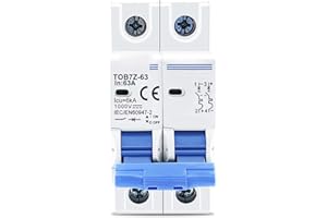 URPIZY Disjoncteur solaire 2 P CC 1000 V 25 A CC Protection de circuit photovoltaïque MCB Mini disjoncteur automatique DC pour énergie solaire, petit système de production d'électricité